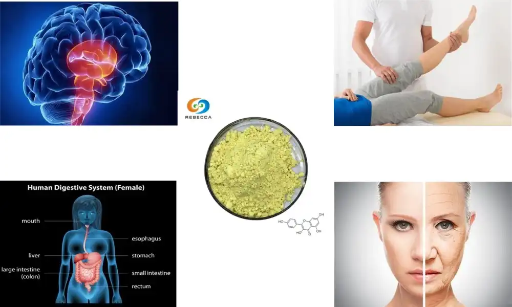 What does kaempferol do for the body?